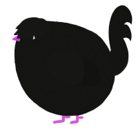 A black chicken with a lace pattern
