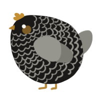 A sable and ash chicken with a lace pattern