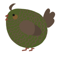 A olive and bark chicken with a lace pattern