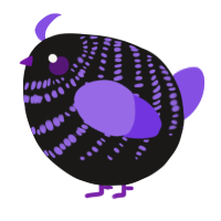 A sable and blurple chicken with a bar pattern