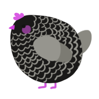 A sable and ash chicken with a lace pattern