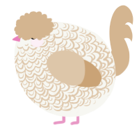 A white and beige chicken with a double-lace pattern