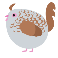 A mist and brown chicken with a half-lace pattern