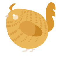 A honey and orange chicken with a bar pattern