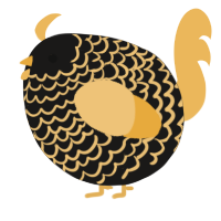A sable and honey chicken with a lace pattern