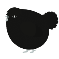 A black chicken with a double-lace pattern