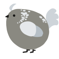 A ash and mist chicken with a neck-speckle pattern