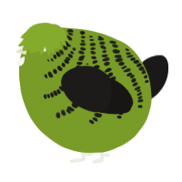 A chartreuse and sable chicken with a half-bar pattern