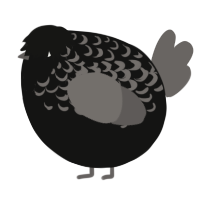 A black and grey chicken with a half-lace pattern