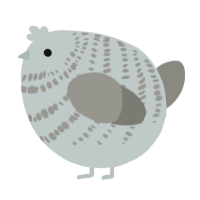 A silver and ash chicken with a bar pattern