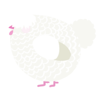 A white chicken with a lace pattern