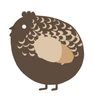A bark and beige chicken with a half-lace pattern