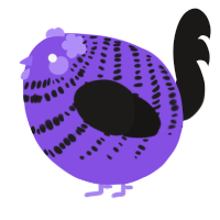 A blurple and sable chicken with a bar pattern