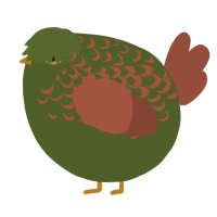 A olive and russet chicken with a half-lace pattern