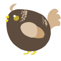 A bark and beige chicken with a neck-band pattern