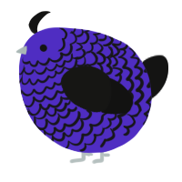A indigo and black chicken with a lace pattern