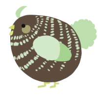 A bark and gluppy chicken with a bar pattern