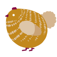 A ochre and beige chicken with a bar pattern