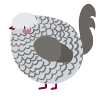 A mist and grey chicken with a lace pattern