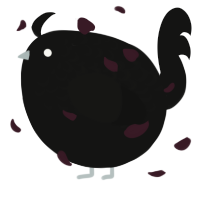 A black chicken with a half-lace pattern