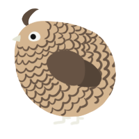 A beige and bark chicken with a lace pattern