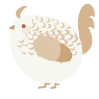A white and beige chicken with a half-lace pattern