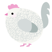 A white and silver chicken with a double-lace pattern