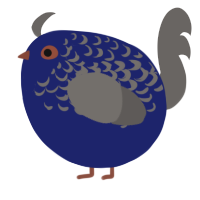 A navy and grey chicken with a half-lace pattern