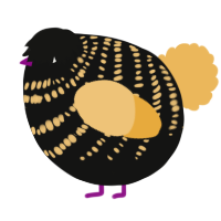 A black and honey chicken with a bar pattern