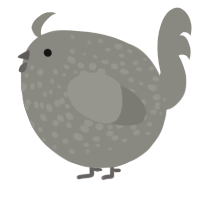 A ash chicken with a speckle pattern