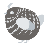 A grey and mist chicken with a bar pattern