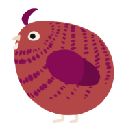 A red and wine chicken with a bar pattern