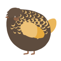 A bark and honey chicken with a half-lace pattern