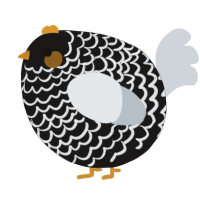 A sable and mist chicken with a lace pattern