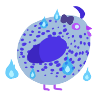 A silver and indigo chicken with a speckle pattern