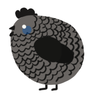 A grey and black chicken with a lace pattern