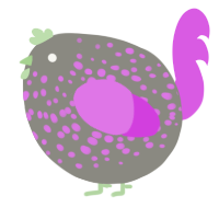 A ash and orchid chicken with a speckle pattern