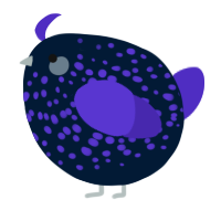 A tumblr and indigo chicken with a speckle pattern