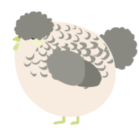 A cream and ash chicken with a half-lace pattern
