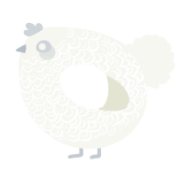 A white chicken with a double-lace pattern