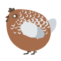 A brown and mist chicken with a half-lace pattern