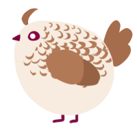 A cream and brown chicken with a half-lace pattern