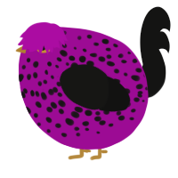 A plum and black chicken with a speckle pattern