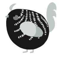 A sable and silver chicken with a half-bar pattern
