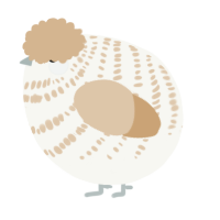 A white and beige chicken with a bar pattern