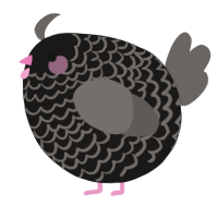 A sable and grey chicken with a lace pattern