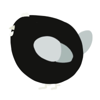 A black and silver chicken