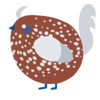 A russet and mist chicken with a speckle pattern