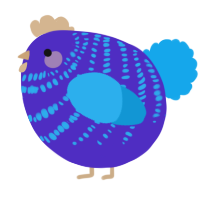 A indigo and sky chicken with a bar pattern