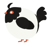 A white and sable chicken with a head pattern